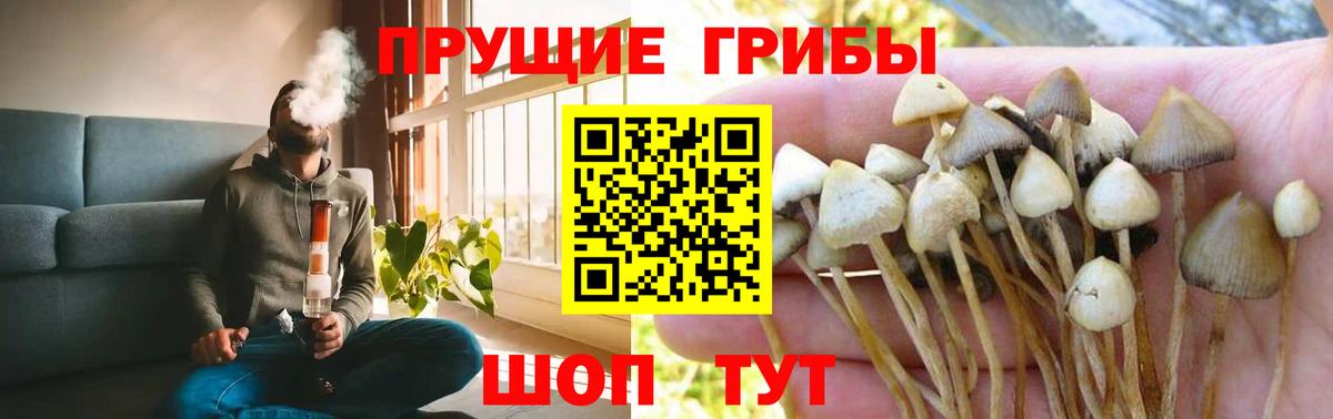 Печора  Галлюциногенные грибы прущие грибы  закладка  Вход с VPN 